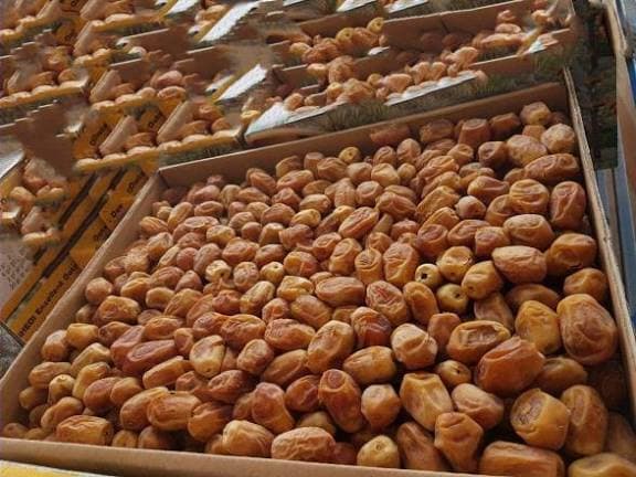 تصویر 2 از خرما زاهدی ساینا مناسب تامین سفارش های فروشگاهی و پخش
